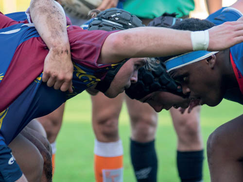 Rugby : l'Île-de-France se prépare à la Coupe du monde
